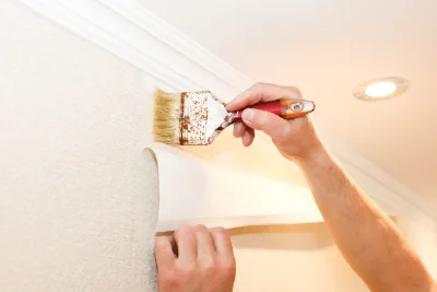 Pose de papier peint à Venon — revêtements muraux et toiles de verre